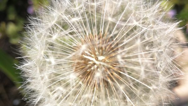 Need help with mental health?