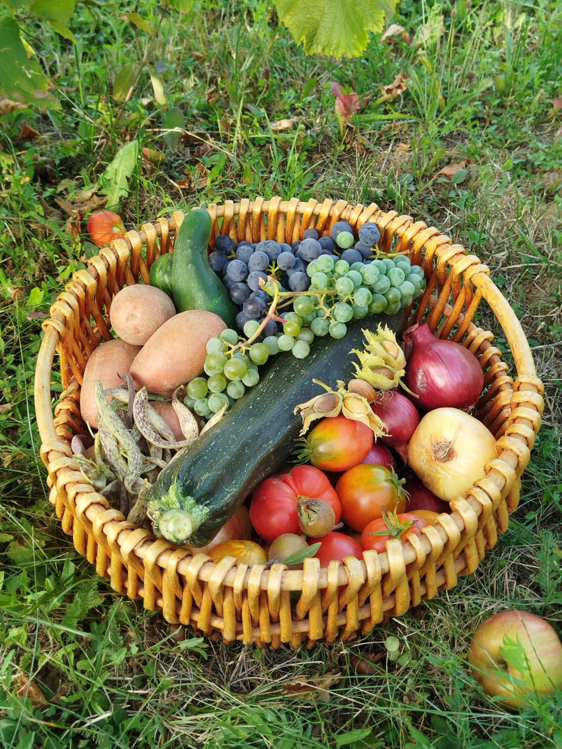 years of veganism